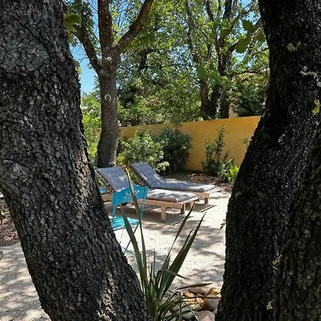 Avec Mezzanine Et Jardin *