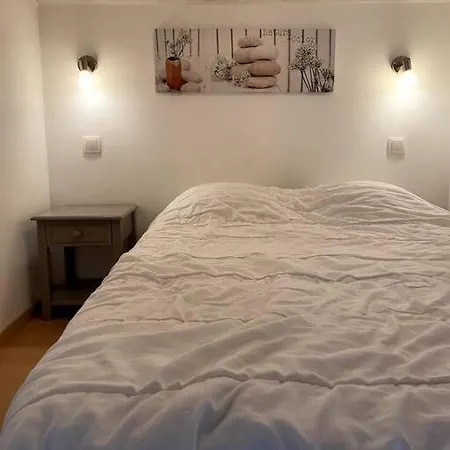 Avec Mezzanine Et Jardin Apartament *