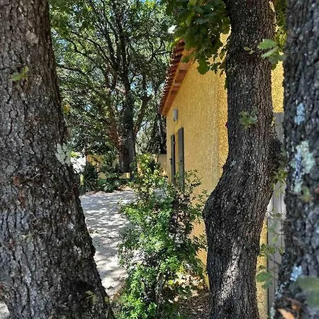 Avec Mezzanine Et Jardin